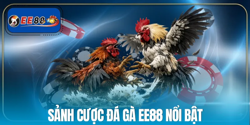 da-ga-ee88-tong-quan