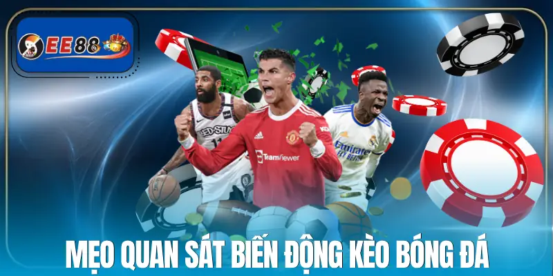 ty-le-keo-bong-da-truc-tuyen-meo-choi